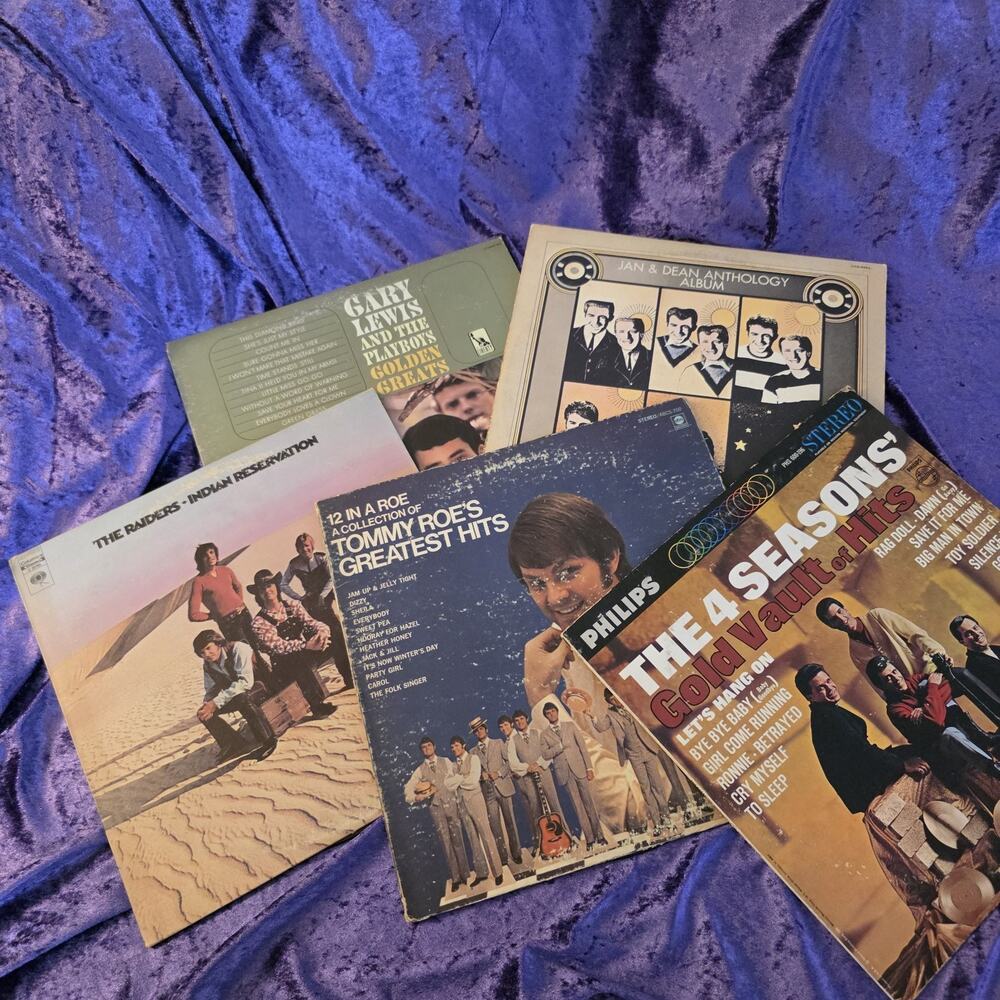 Vintage Pop Vinyl Lot Tommy Roe Four Seasons Jan & Dean Gary Lewis Oldies LPs